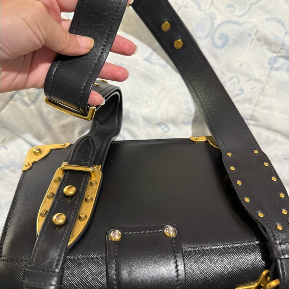 Prada Lion Crossbody - Picture 5 of 9